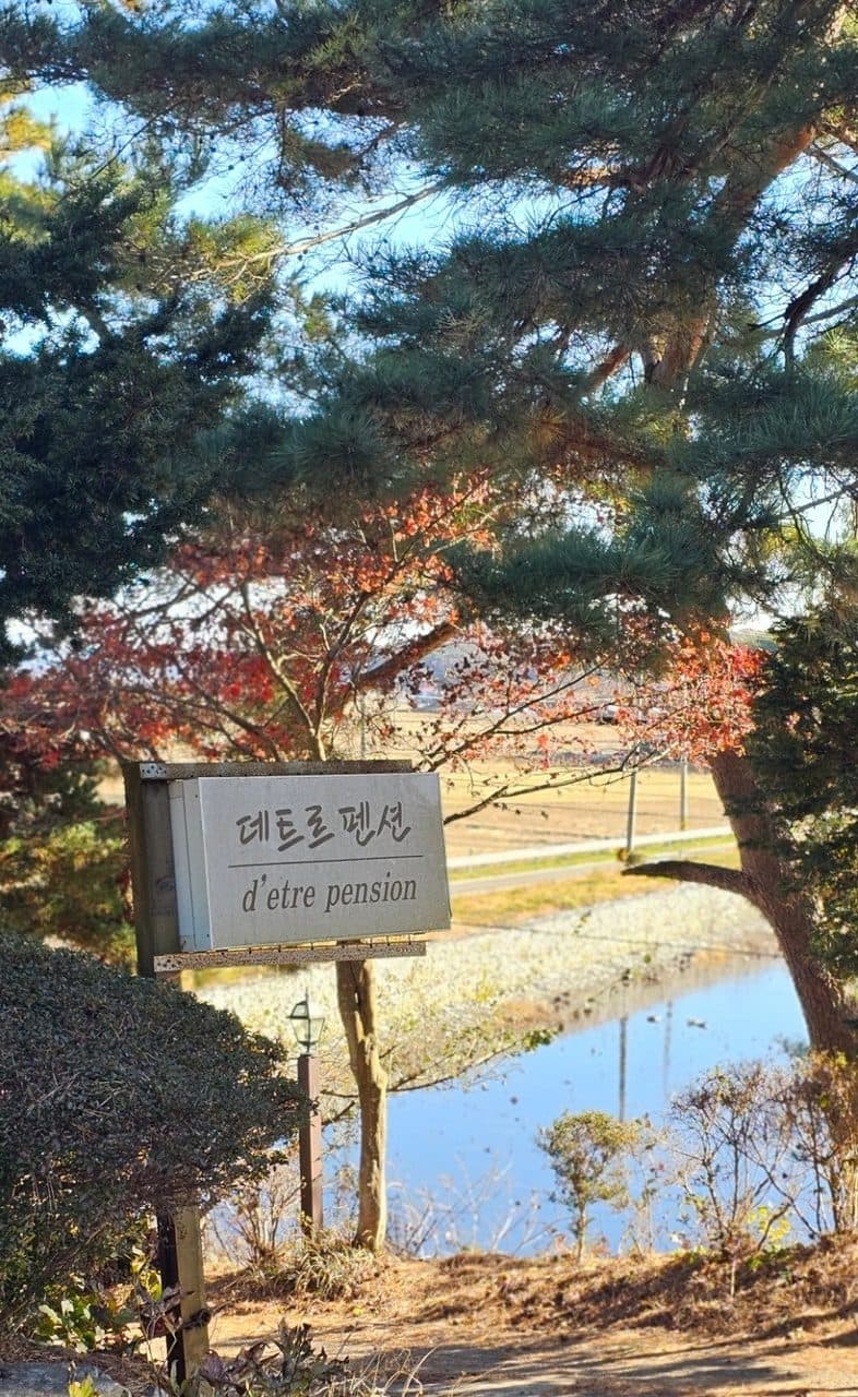 태안 안면도 독채 데트르펜션 바베큐 숙소, 내돈내산