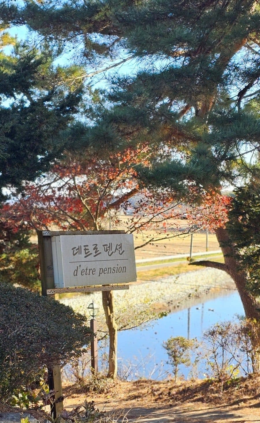 태안 안면도 독채 펜션