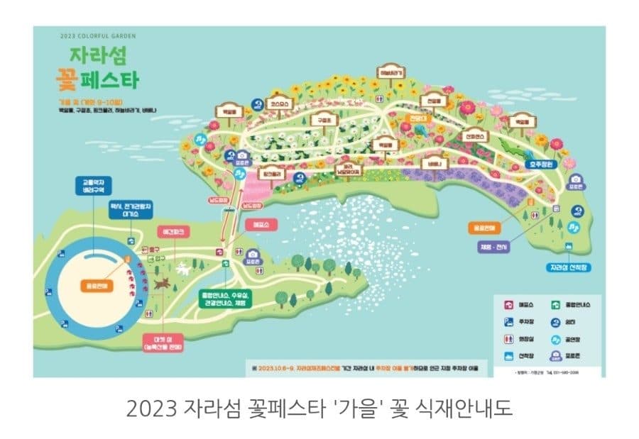 가평 자라섬 꽃축제 완벽 가이드