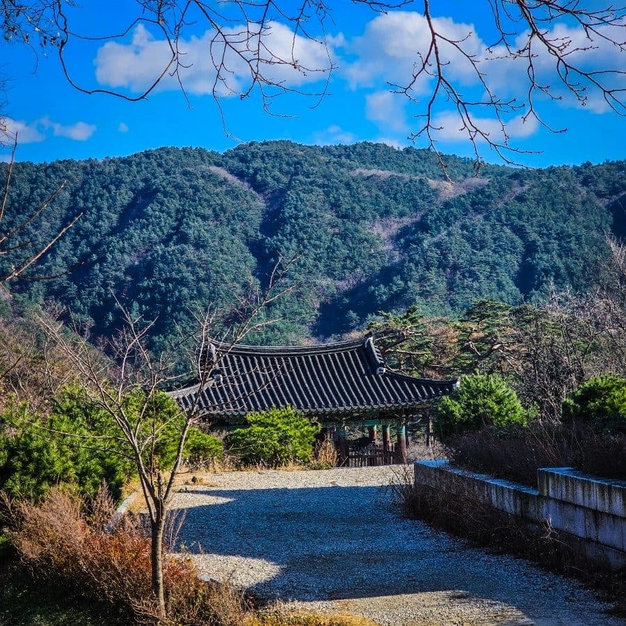 겨울 강원도 고성 1박2일 여행코스 — 고성 8경 따라 걷는 힐링 루트 사진 4