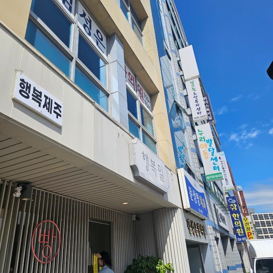 제주공항 근처 빵지순례, 행복밀 주차부터 택배까지