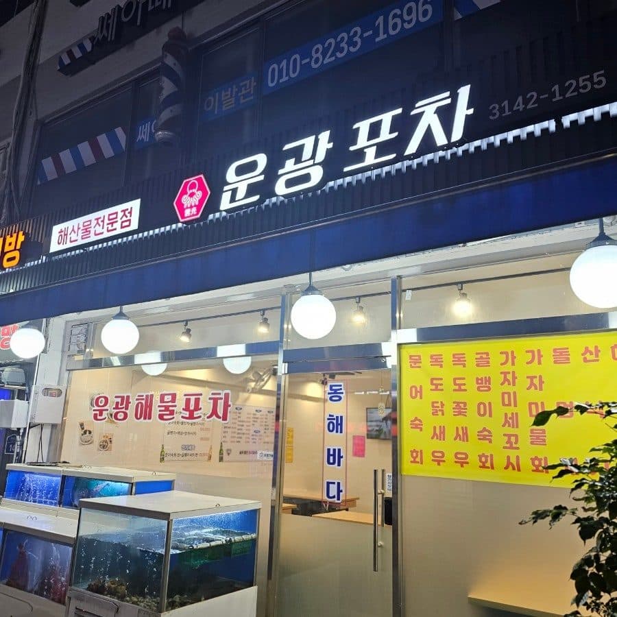 남가좌동 횟집 운광해물포차 후기