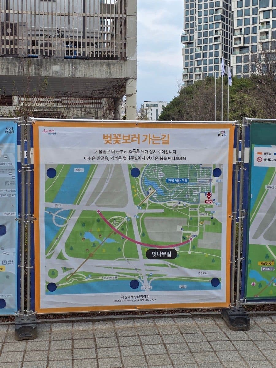 서울숲 벚꽃 데이트 코스 완전 정복 (feat. 주차장 대안, 11번 출입구 우회 루트) 사진 5