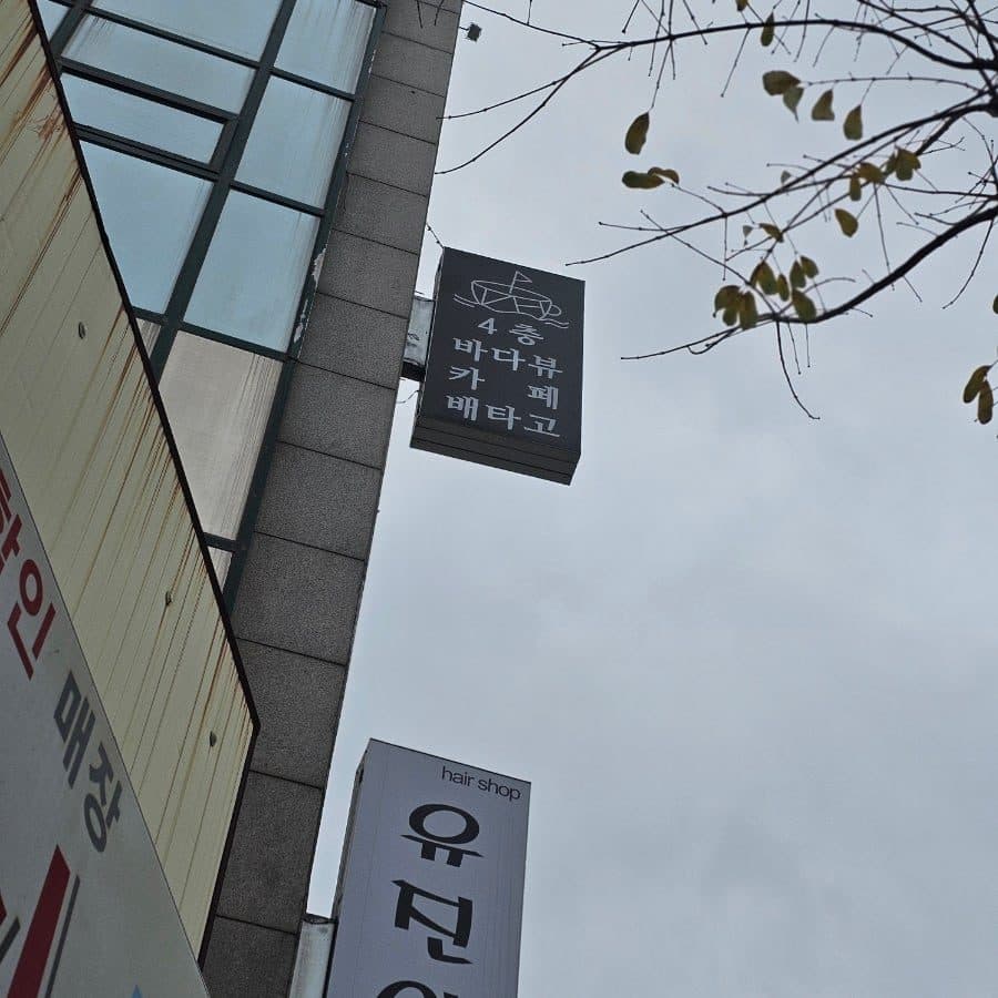 속초 바다뷰 카페 배타고, 갯배 타고 즐기는 오션뷰 피크닉 후기 사진 5