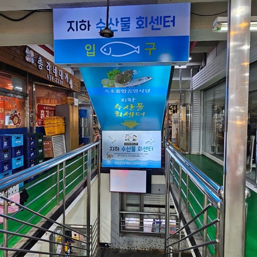 속초 회 포장 맛집 중앙시장 진미활어센터