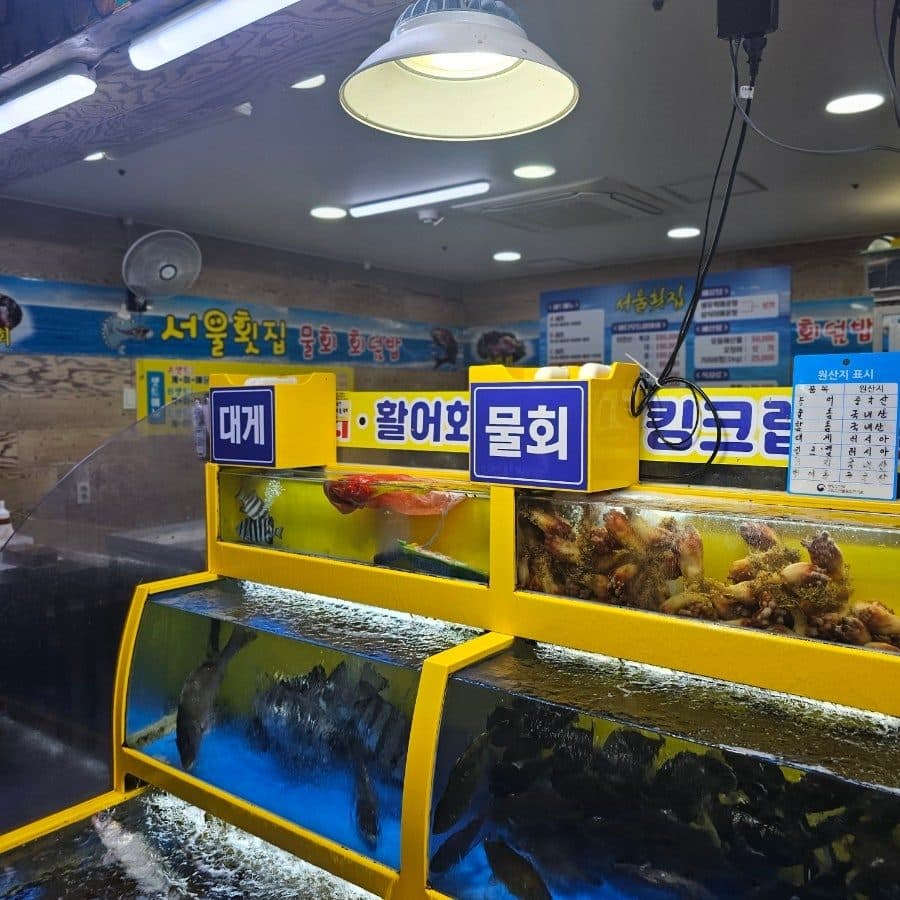 속초중앙시장 회센터 서울횟집 대방어 포장 맛집 사진 6