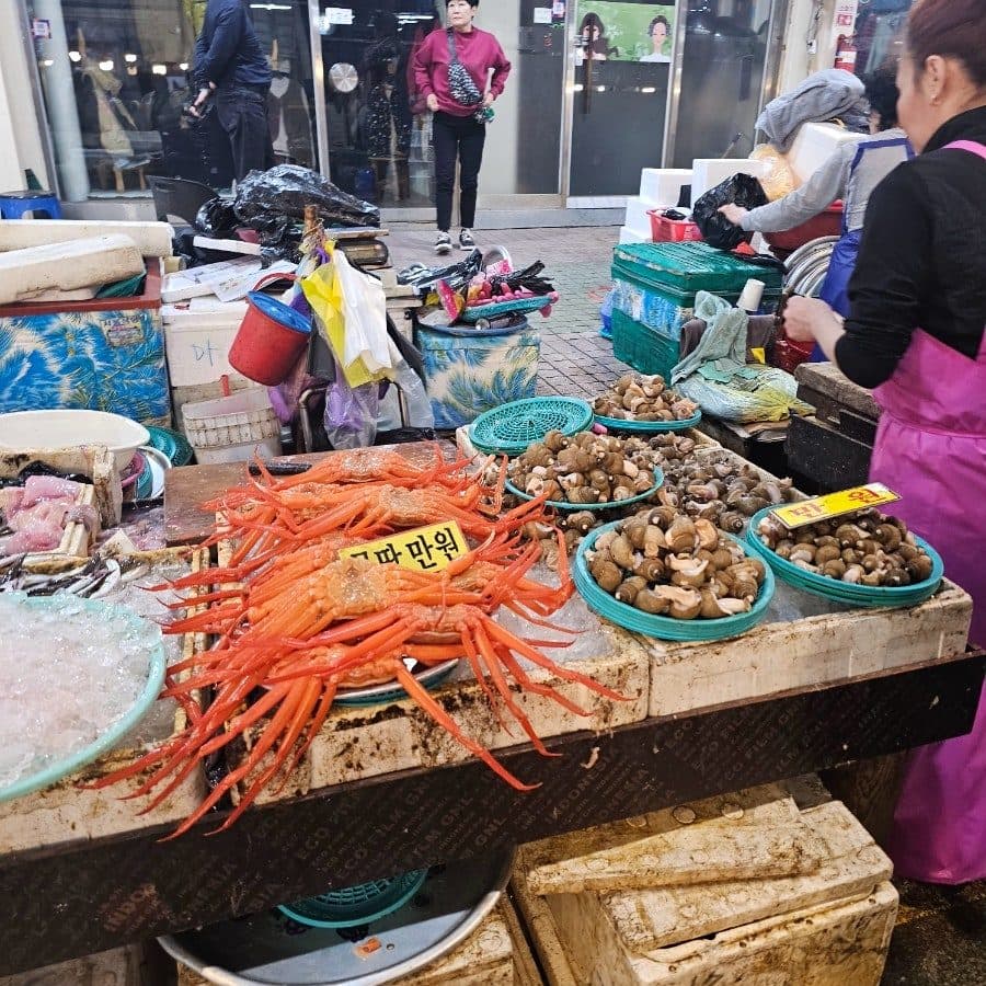 속초 겨울여행 2박3일 코스 — 12월·1월 아이랑 가볼만한 곳 총정리 사진 5