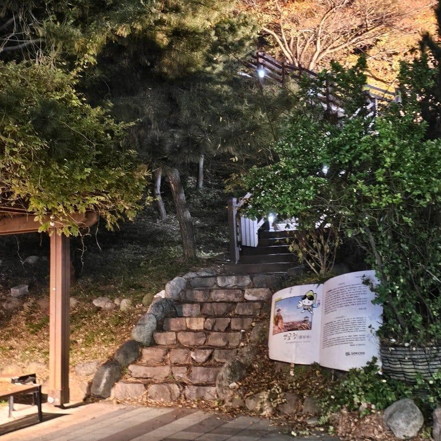 속초 영금정 야경 명소, 밤바다 산책으로 완전 추천