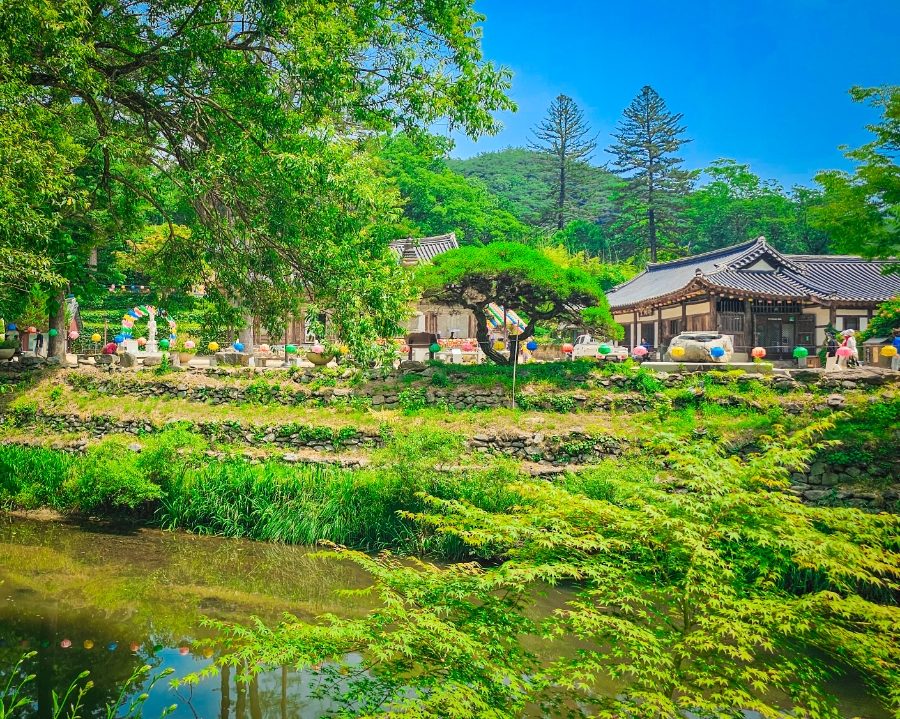 공주 마곡사 벚꽃 당일치기 — 주차·입장료·고즈넉한 사찰 나들이 사진 3