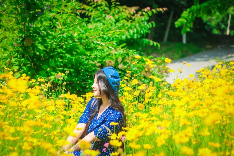 공주 마곡사 벚꽃 당일치기 — 주차·입장료·고즈넉한 사찰 나들이 사진 4