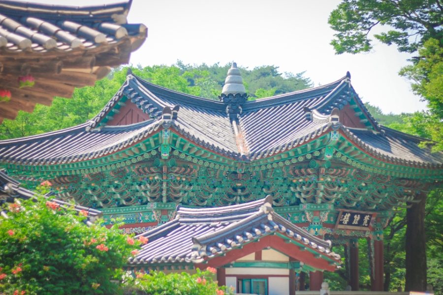 공주 마곡사 벚꽃 당일치기 — 주차·입장료·고즈넉한 사찰 나들이 사진 5