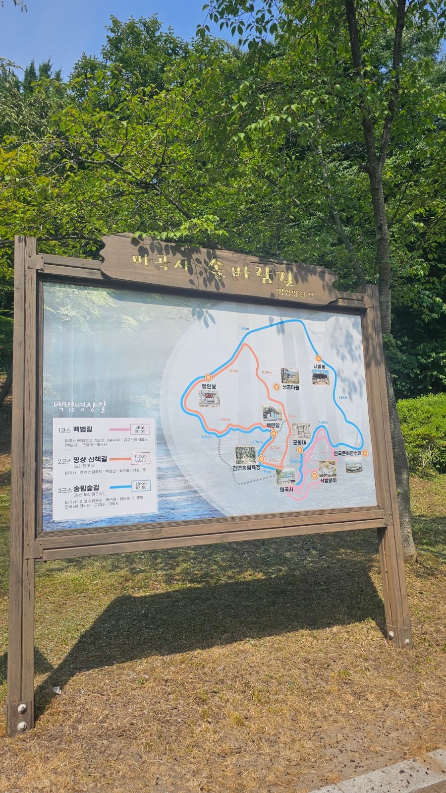 공주 마곡사 벚꽃 당일치기 — 주차·입장료·고즈넉한 사찰 나들이 사진 6