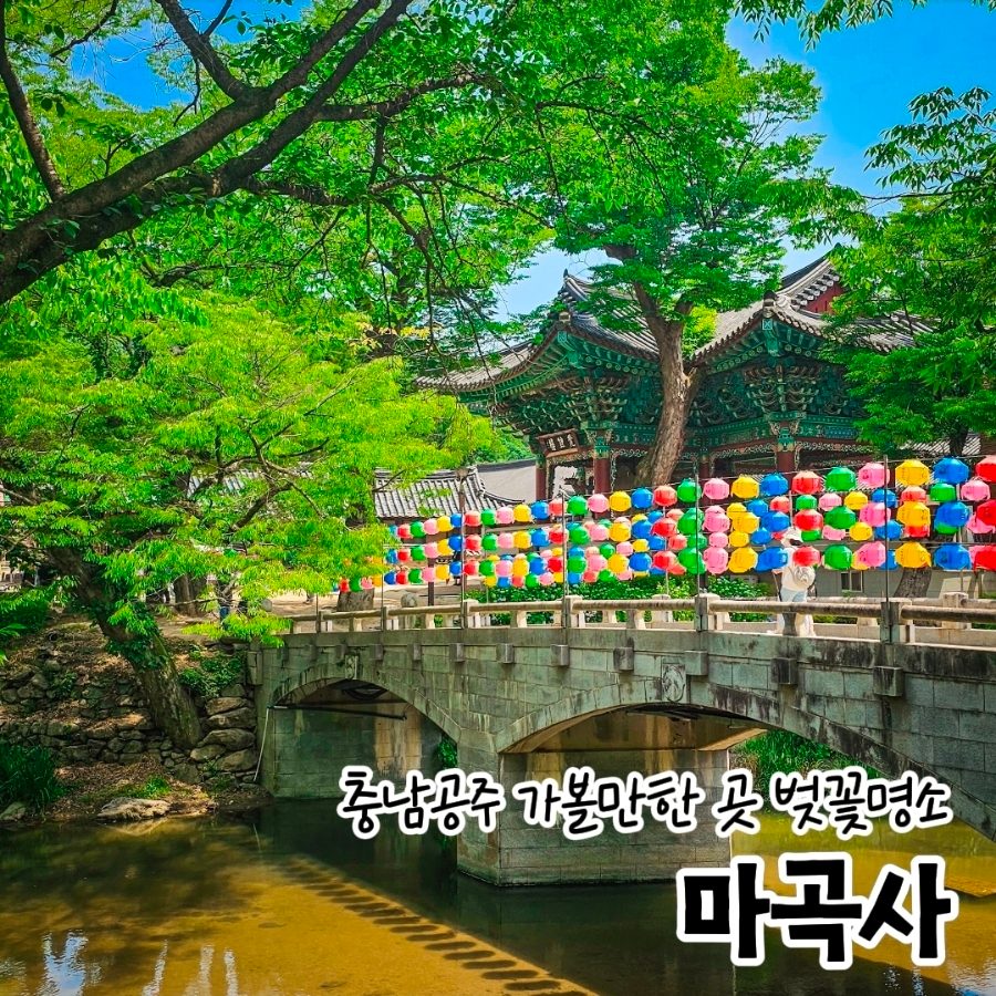 공주 마곡사 벚꽃 당일치기 — 주차·입장료·고즈넉한 사찰 나들이