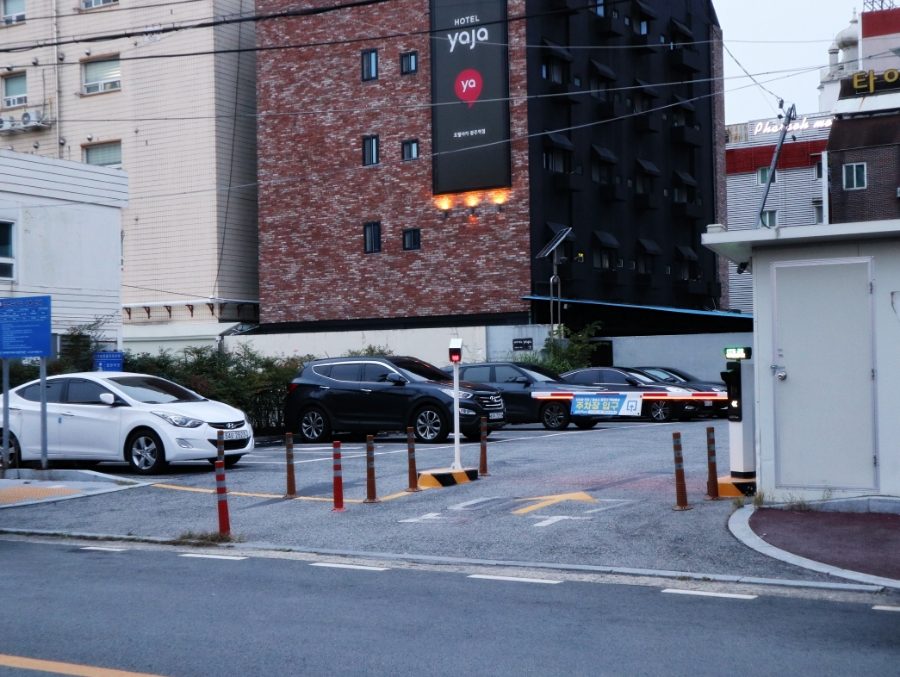 광주 북구 횟집, 오돌뼈도 회도 같이 즐기는 청해진연탄구이 사진 3