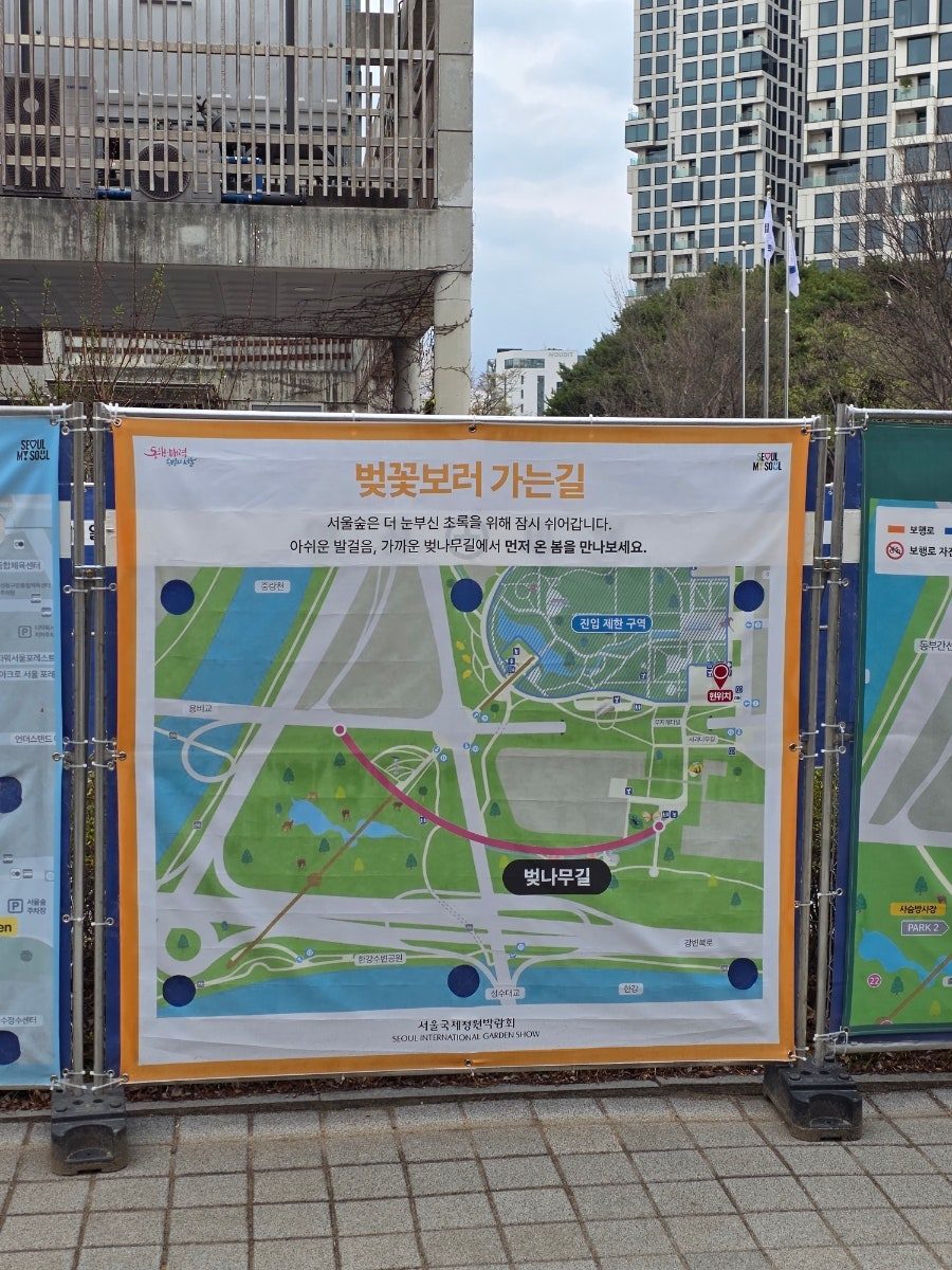 서울숲 벚꽃 데이트 코스 완전 정복 (feat. 주차장 대안, 11번 출입구 우회 루트) 사진 5