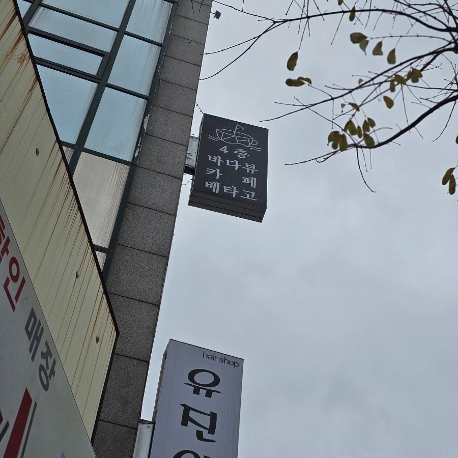 속초 바다뷰 카페 배타고, 갯배 타고 즐기는 오션뷰 피크닉 후기 사진 5
