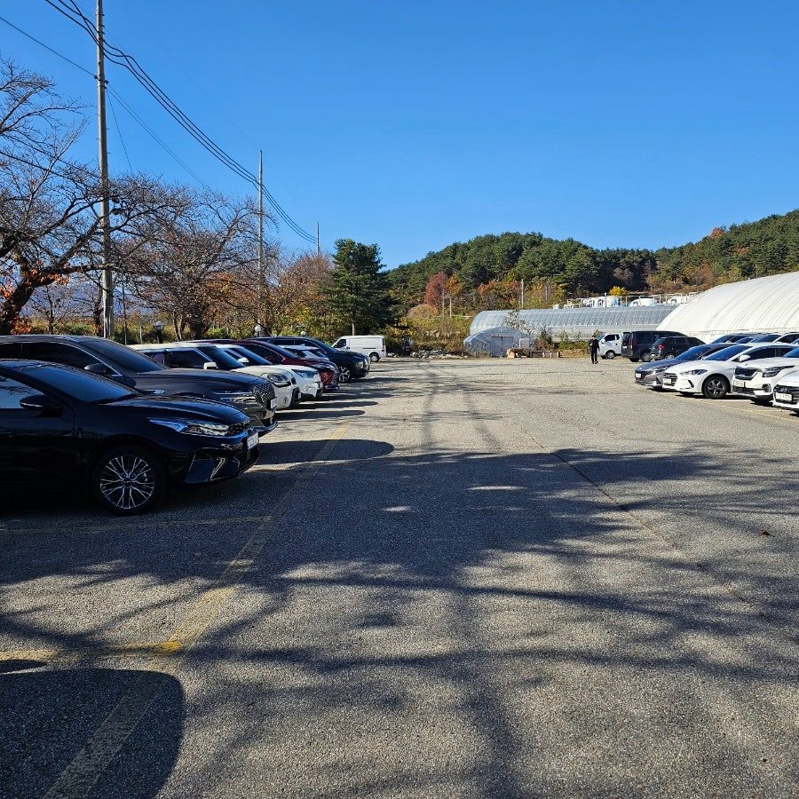 속초 맛집 설악산 소고기 설악산로한우 사진 4