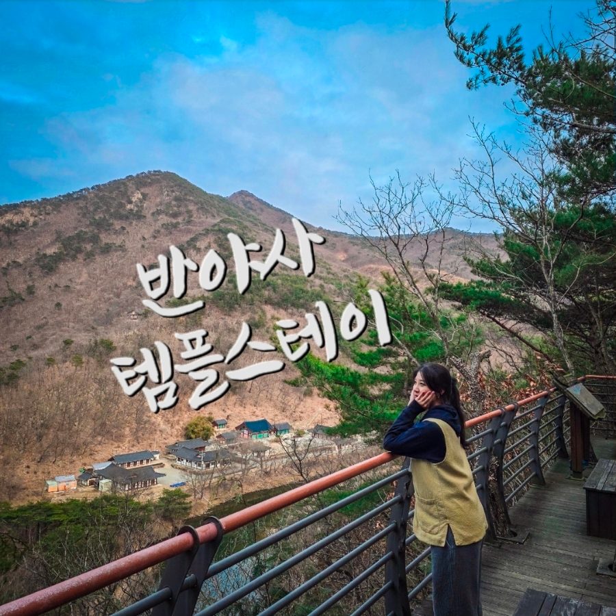 충북 영동 반야사 템플스테이 뜻과 커플 혼숙 가능 여부, 휴식형 1박 2일 실방문 후기